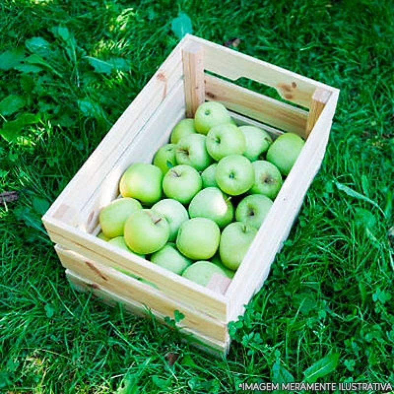 distribuição de frutas em empresas